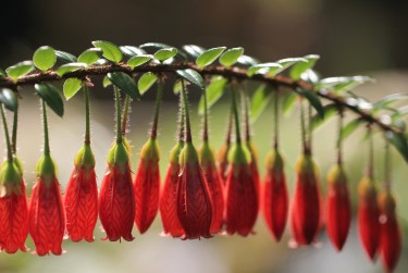 佛山禅城区3私人快速借钱网，轻松解决资金难题