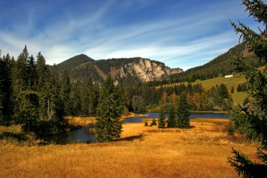 佛山禅城区3民间私贷攻略：揭秘低成本借贷的秘密