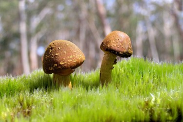 佛山禅城区3私人老板放款：轻松融资的秘密通道